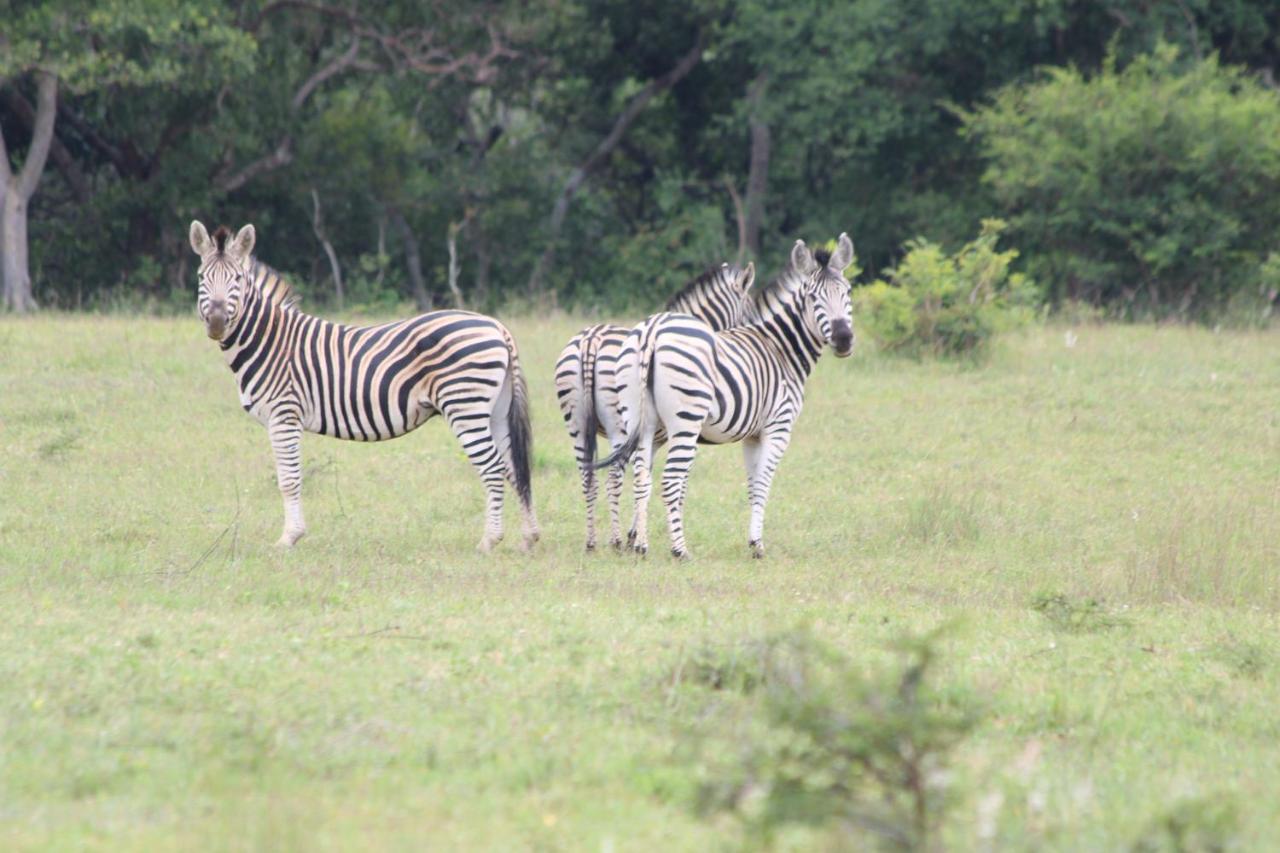 Izintaba Private Game Reserve Waterberg Villa Vaalwater Buitenkant foto