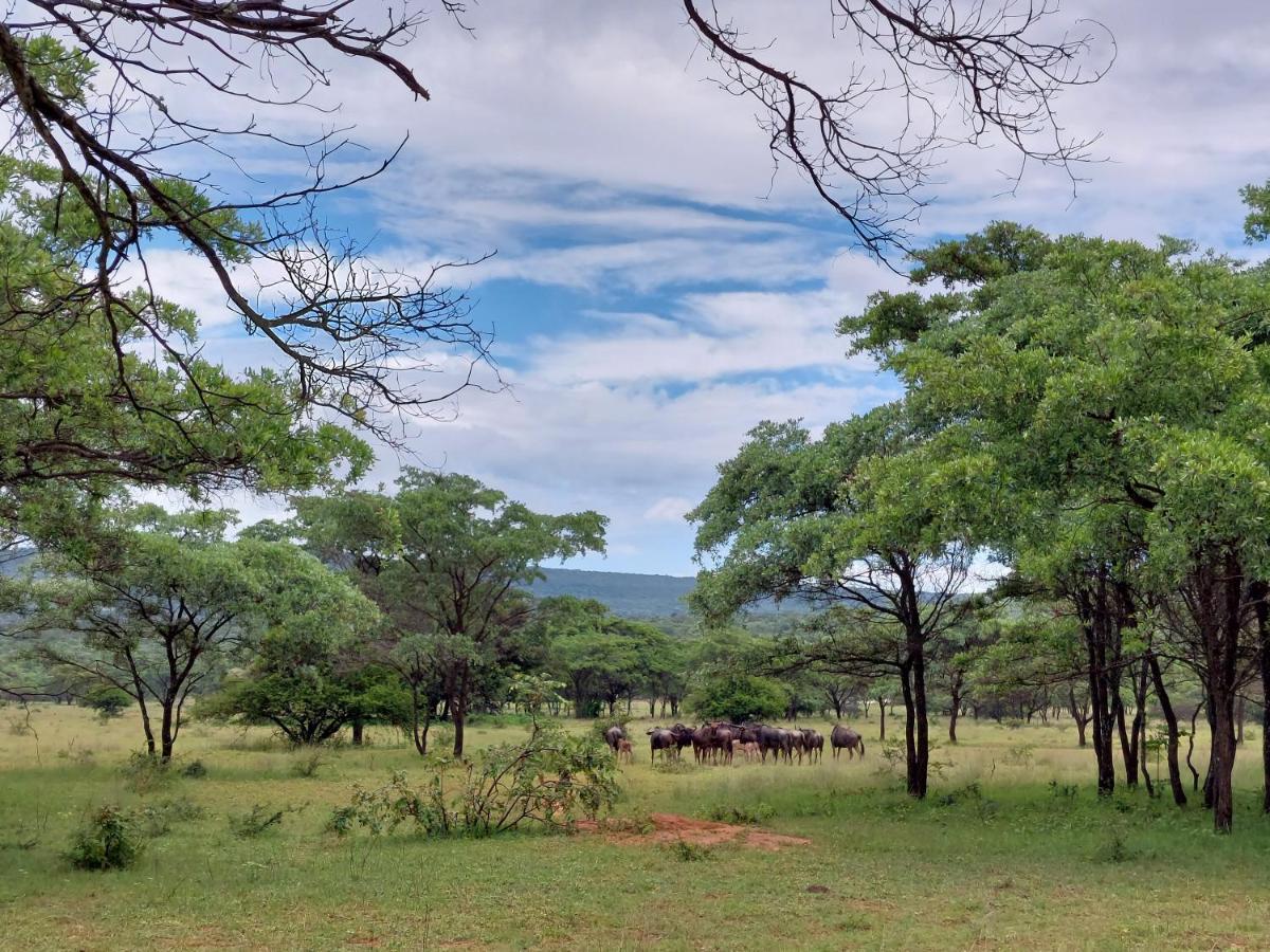 Izintaba Private Game Reserve Waterberg Villa Vaalwater Buitenkant foto