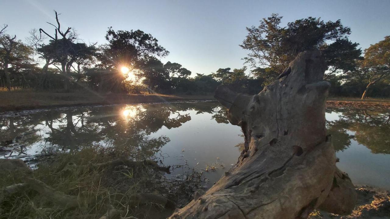 Izintaba Private Game Reserve Waterberg Villa Vaalwater Buitenkant foto